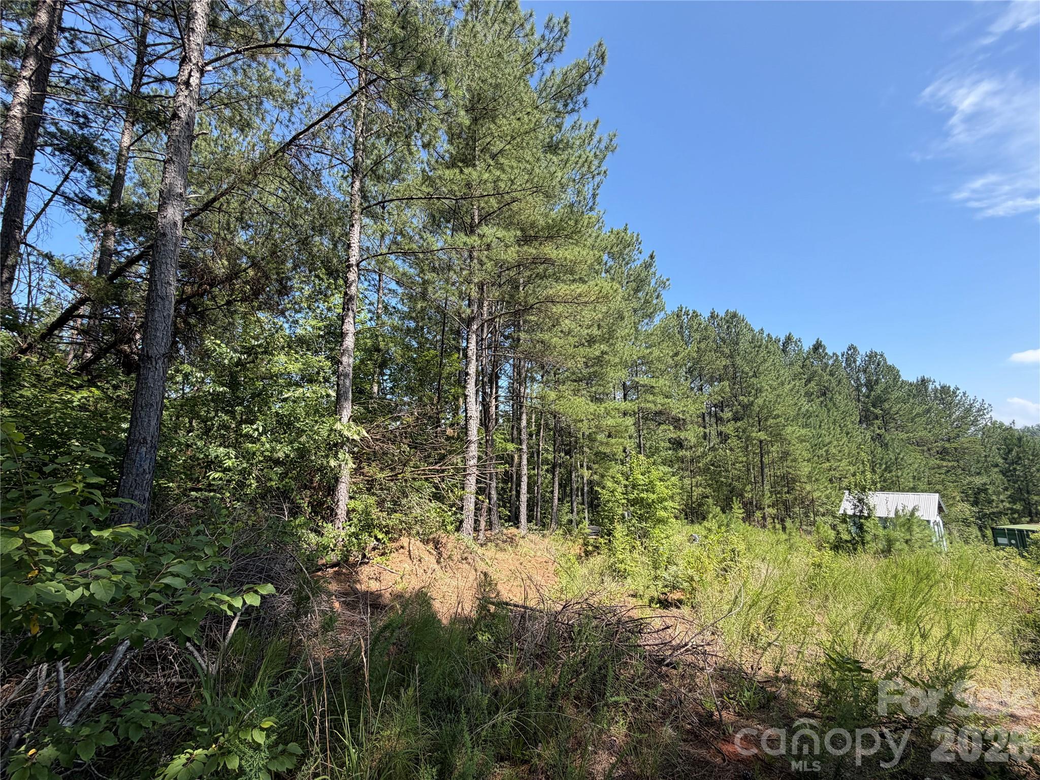590 Gold Creek Point