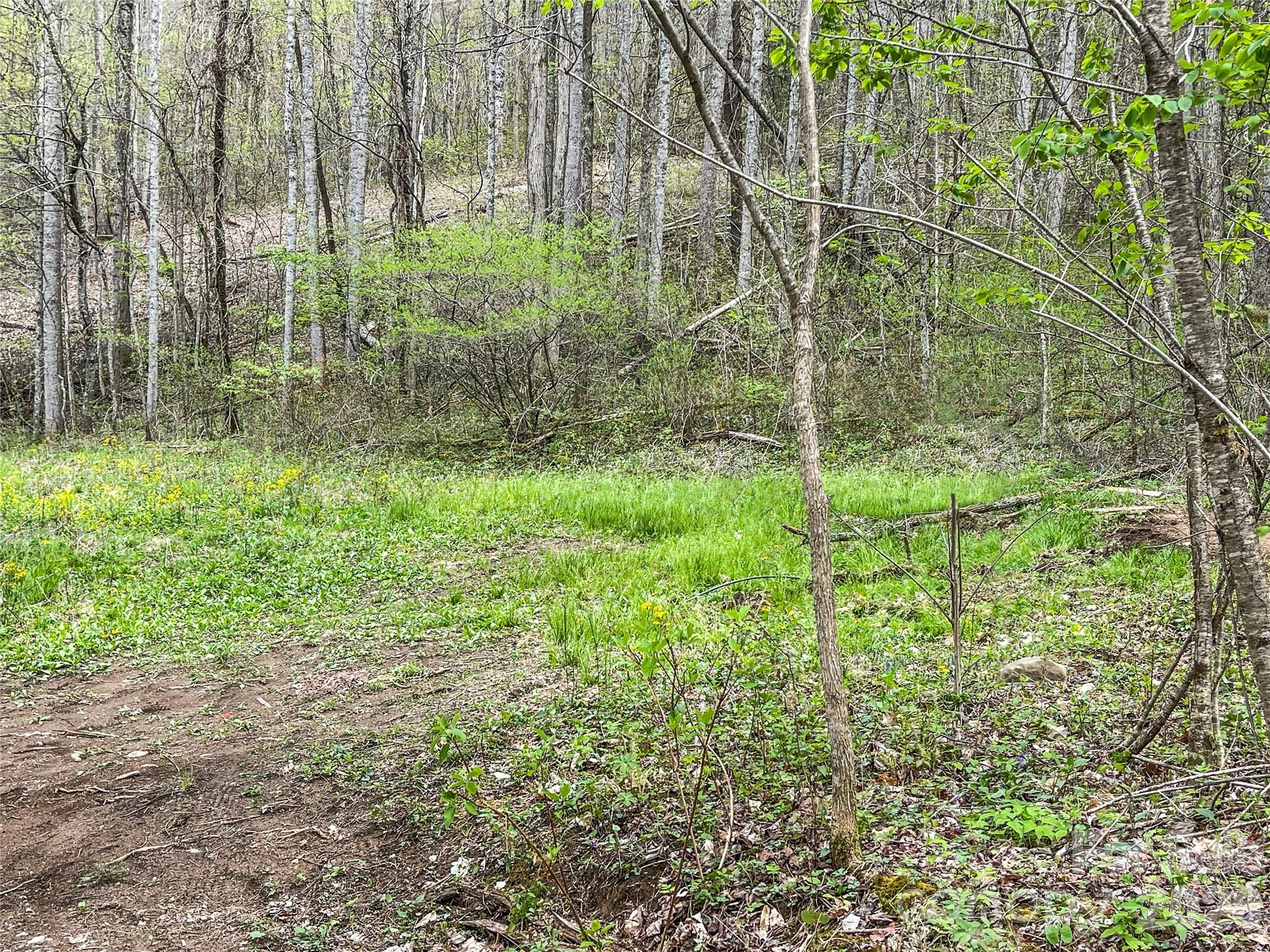 130 Gavin Glenn Road