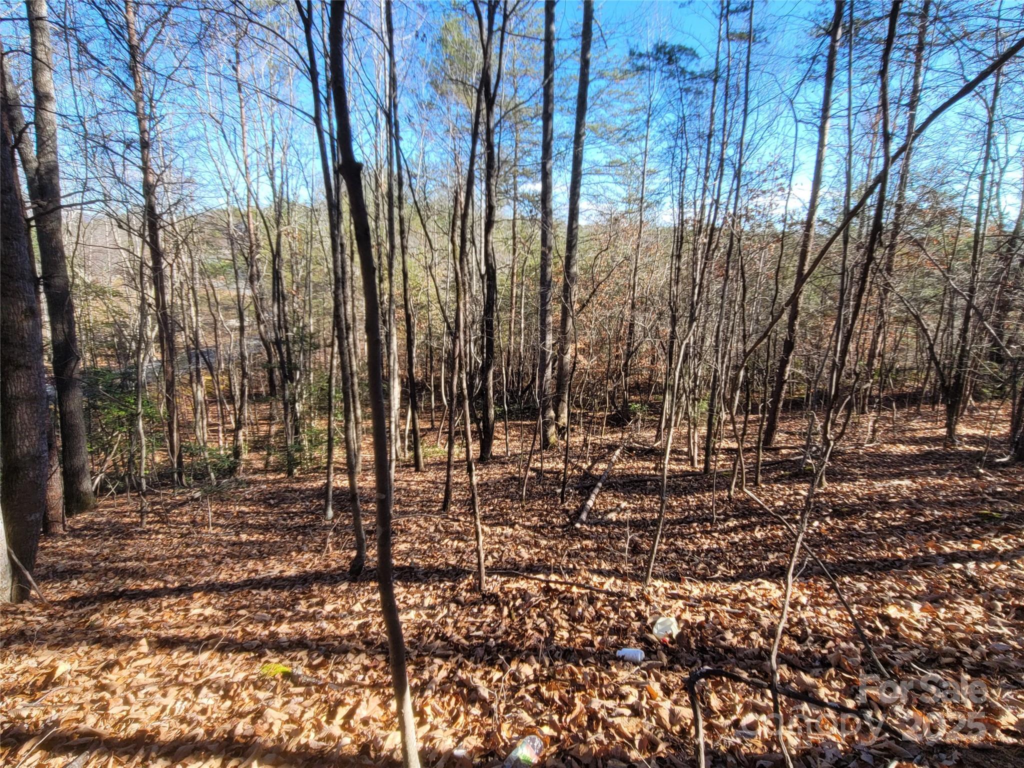 Twelve Mile Post - Land