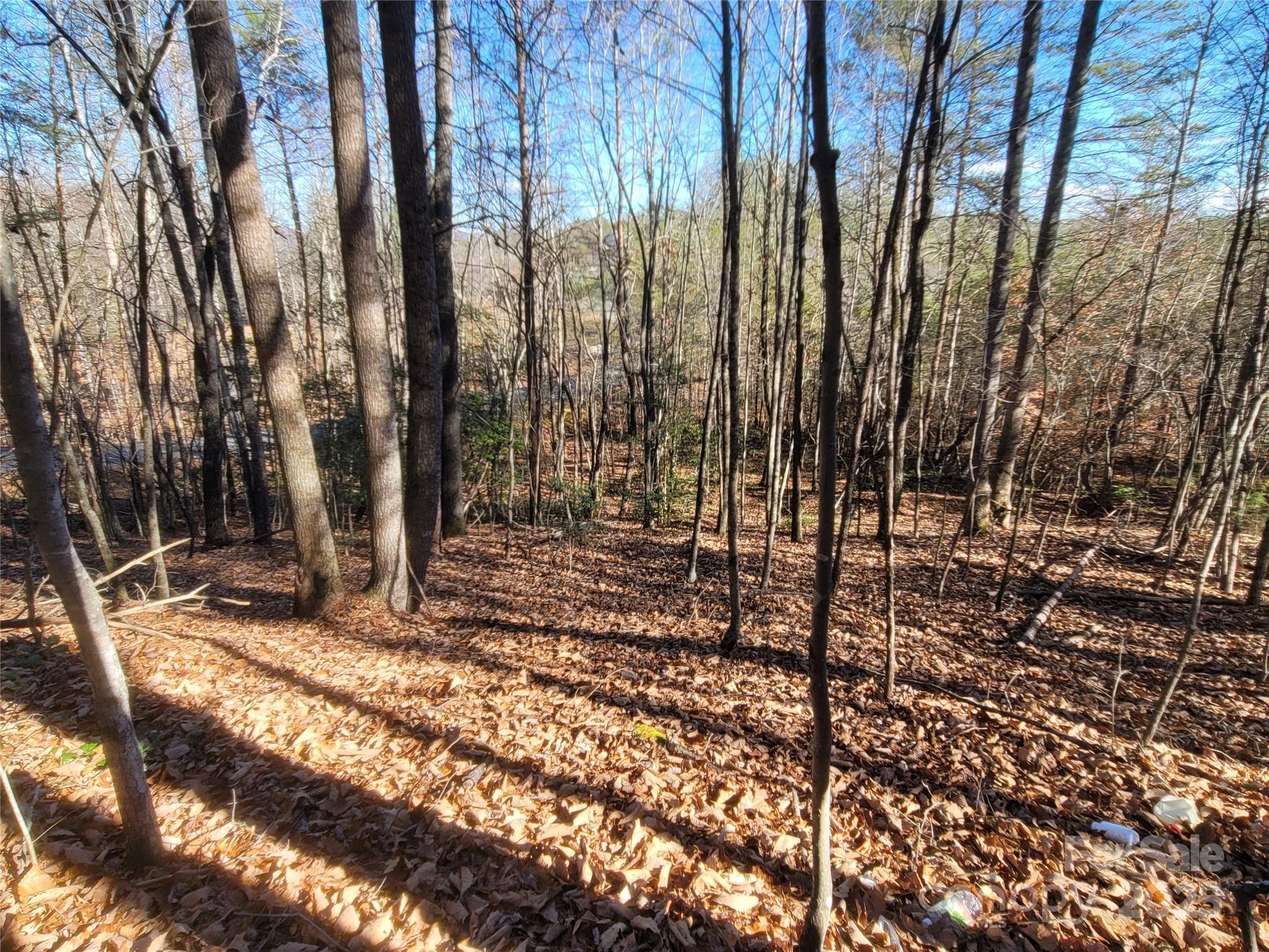 Twelve Mile Post - Land