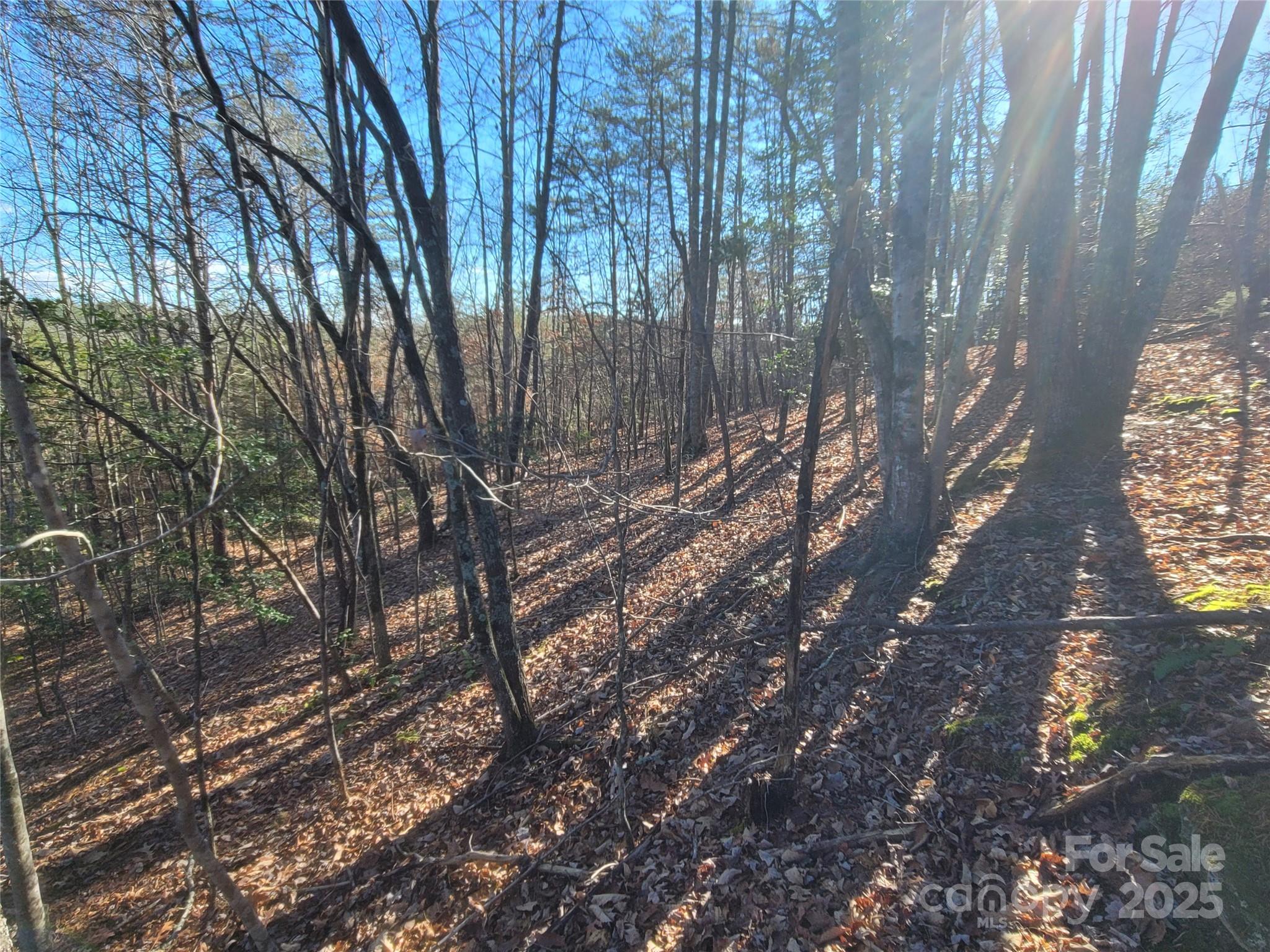 Twelve Mile Post - Land