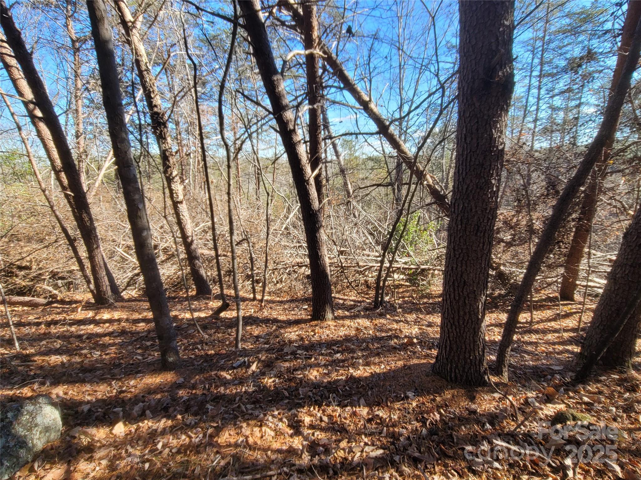 Twelve Mile Post - Land