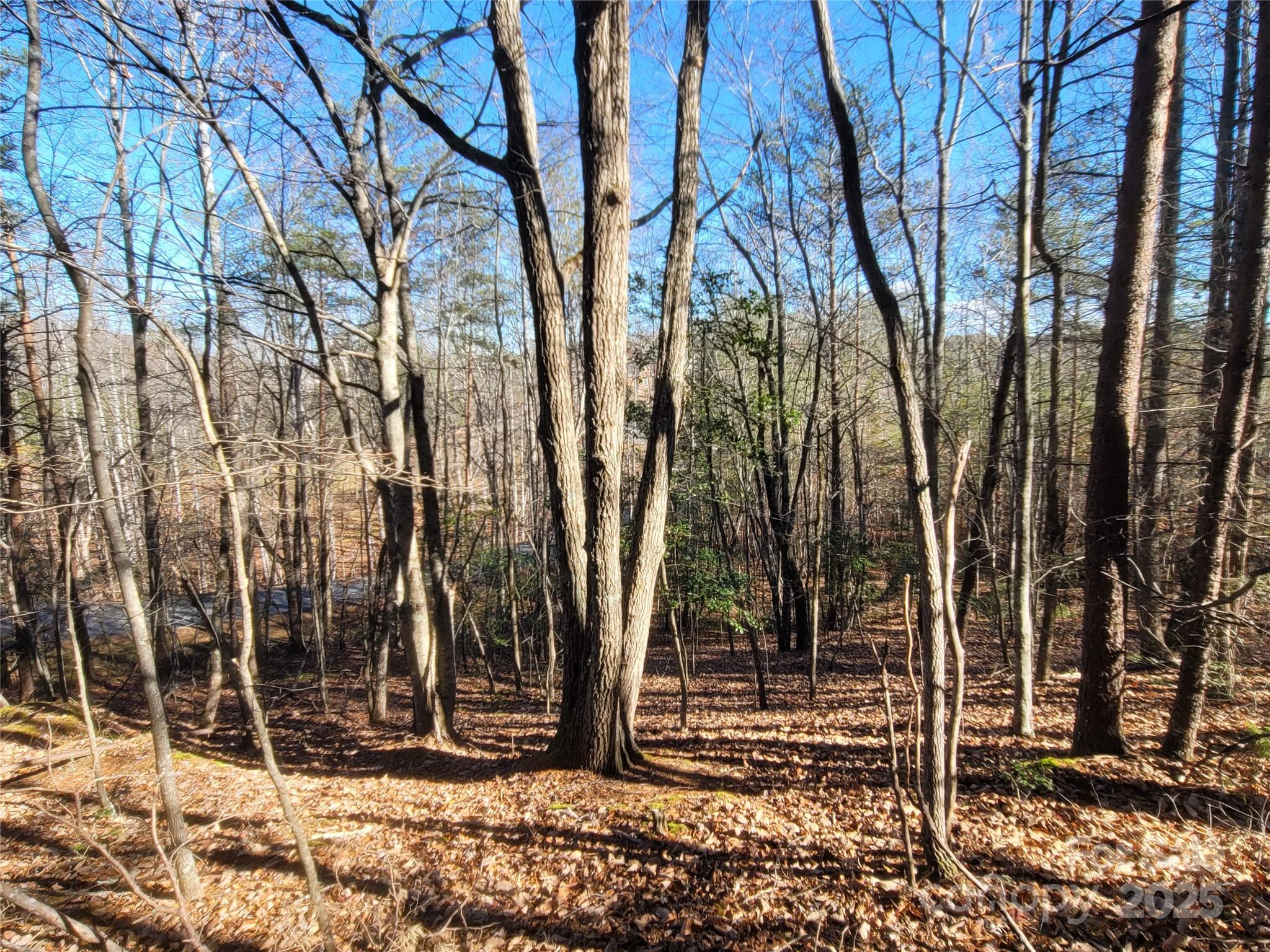 Twelve Mile Post - Land