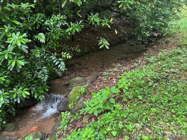 Mountain Forest Estates - Land