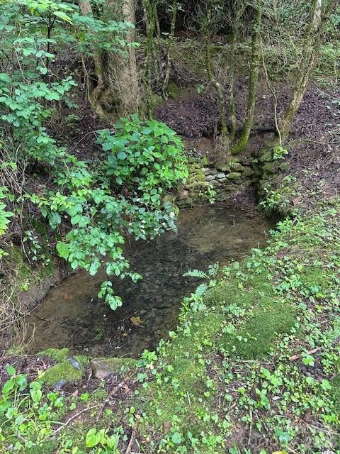 Mountain Forest Estates - Land