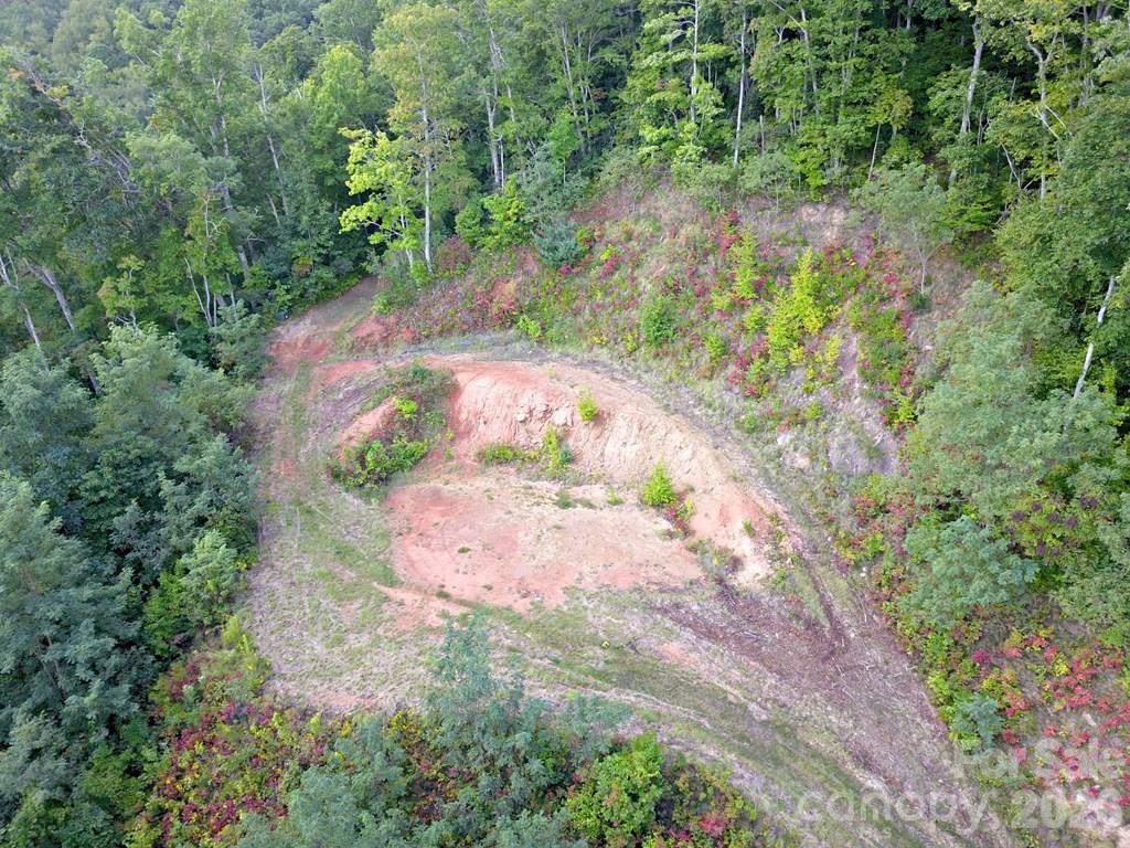 Mountain Forest Estates - Land