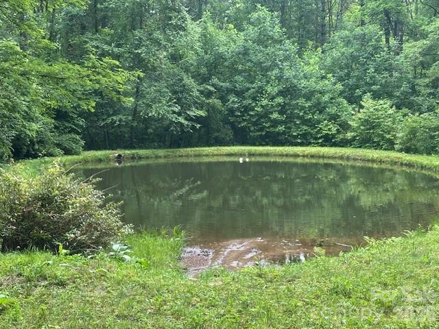 Mountain Forest Estates - Land