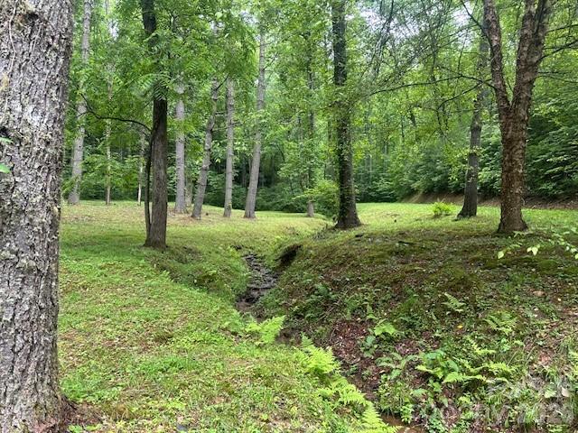 Mountain Forest Estates - Land