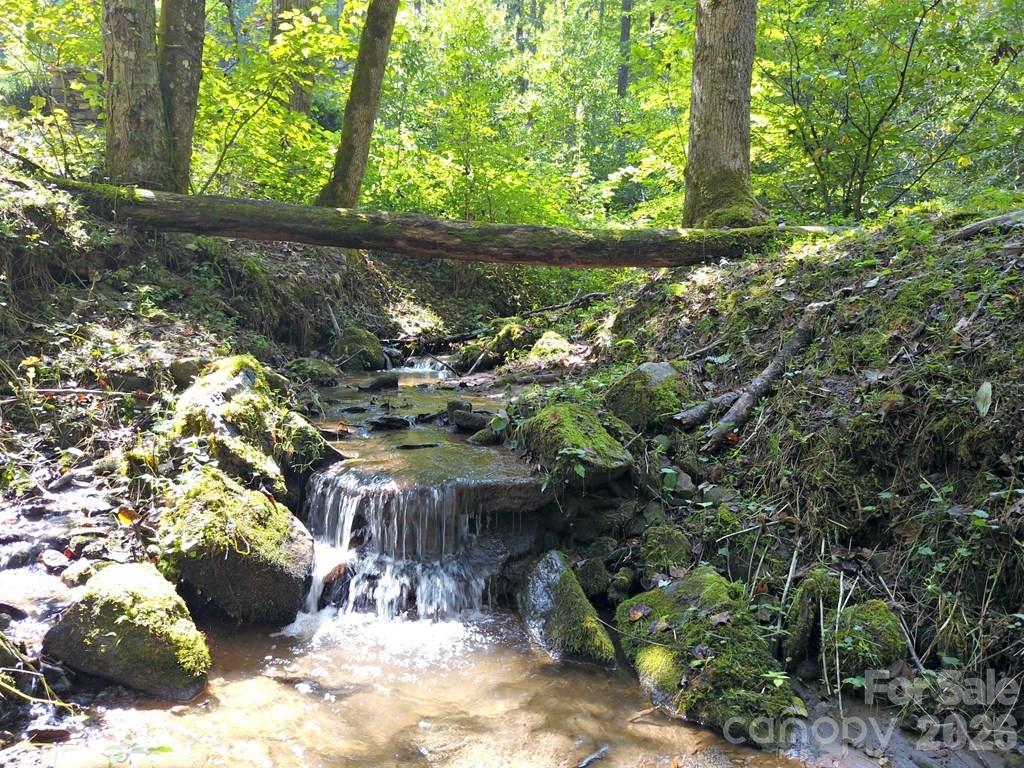 Mountain Forest Estates - Land