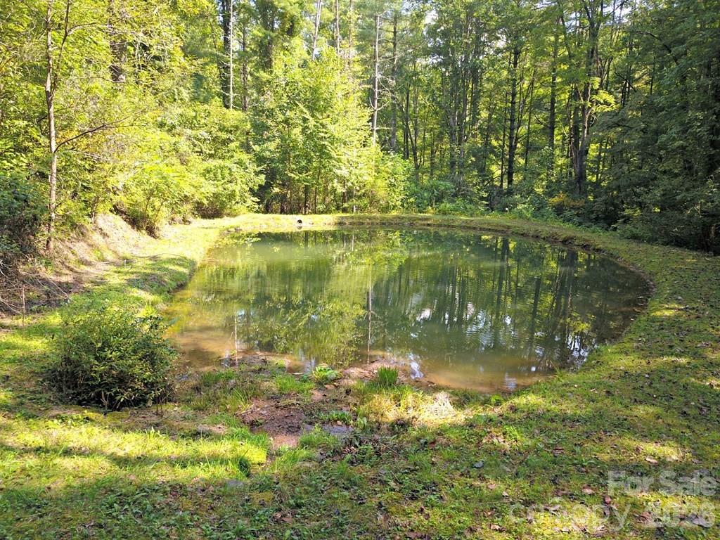 Mountain Forest Estates - Land