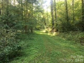 Mountain Forest Estates - Land