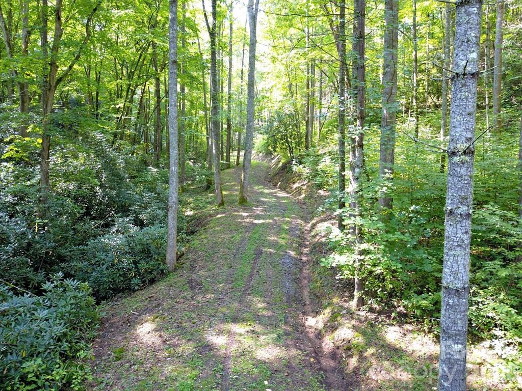 Mountain Forest Estates - Land