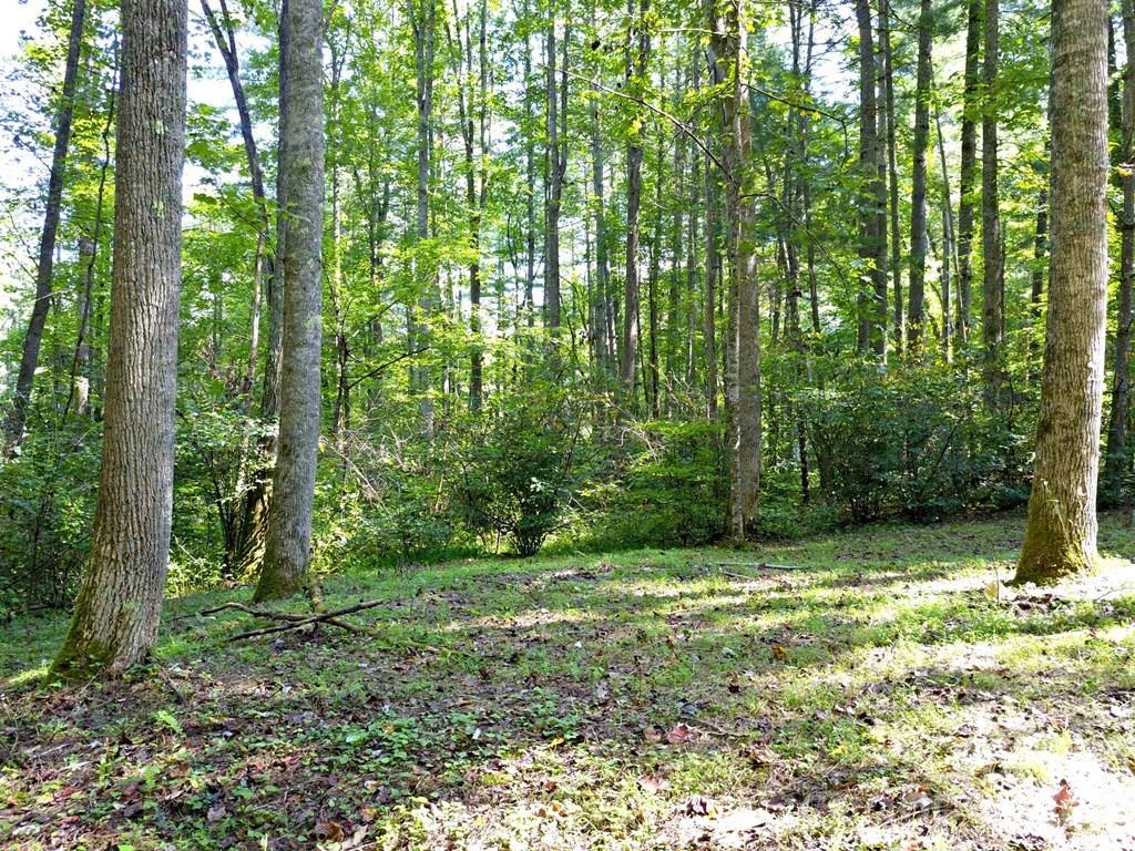 Mountain Forest Estates - Land