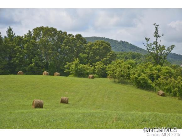 Cane Creek Preserve - Land