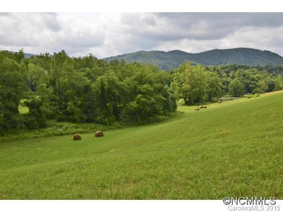 Cane Creek Preserve - Land