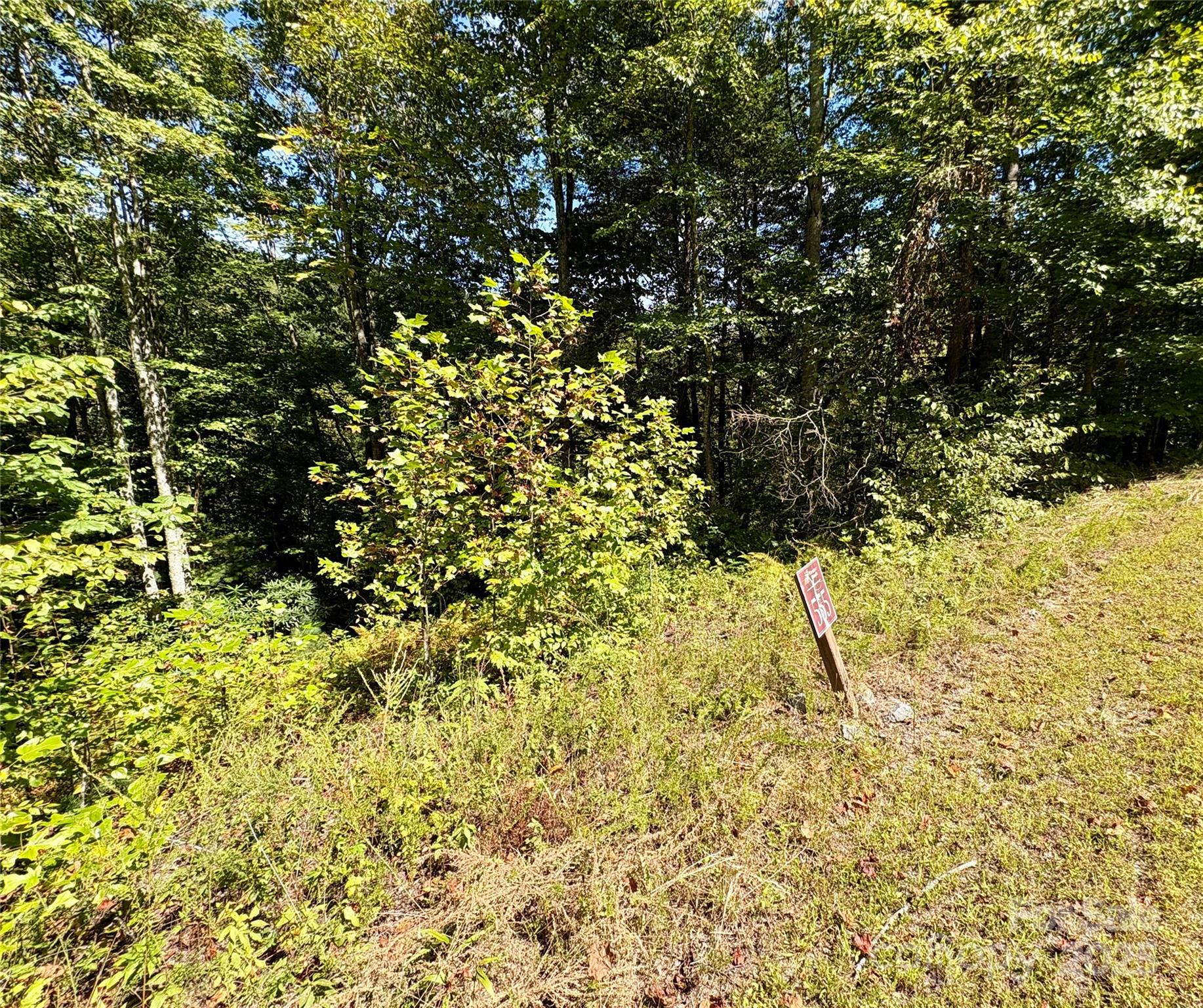 6929 Timber Rock Drive