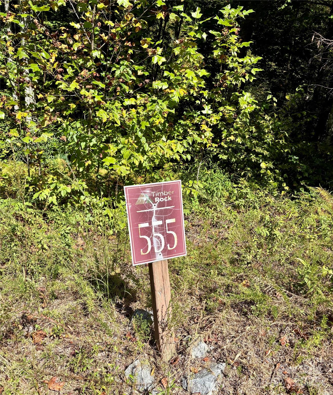 6929 Timber Rock Drive