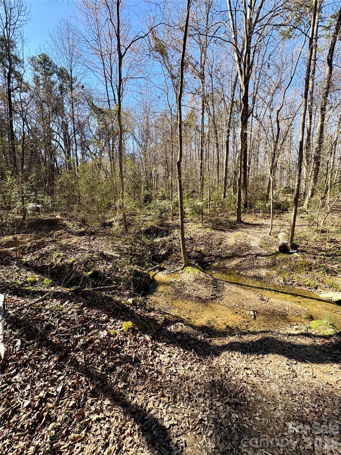 1417 Ellis Griffin Road