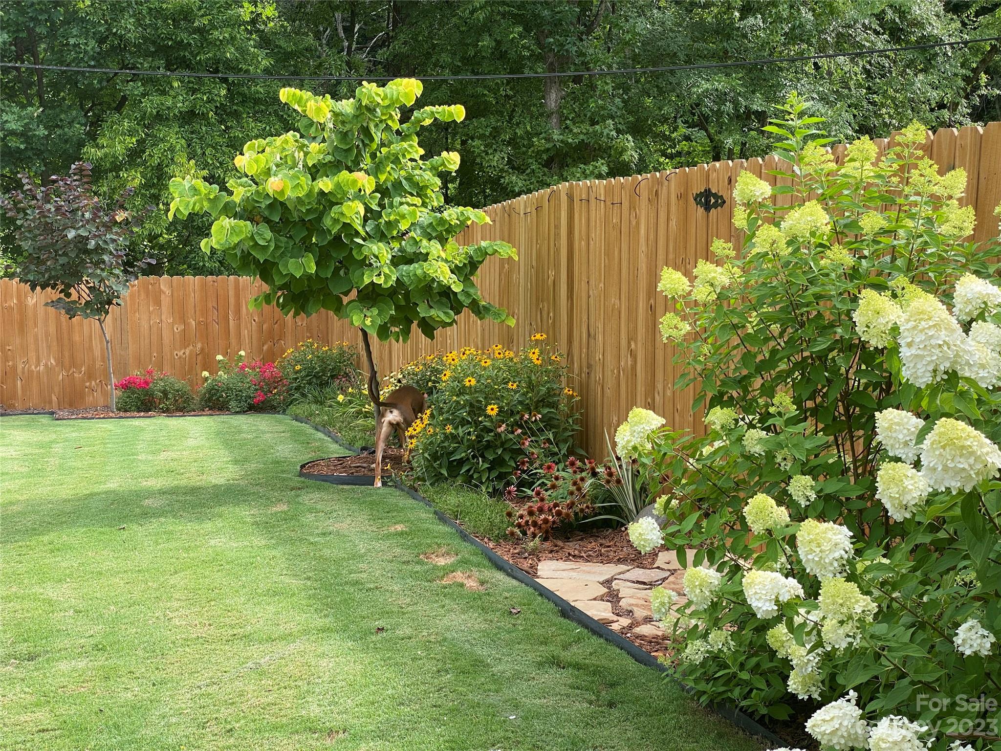 Selwyn Park - Residential