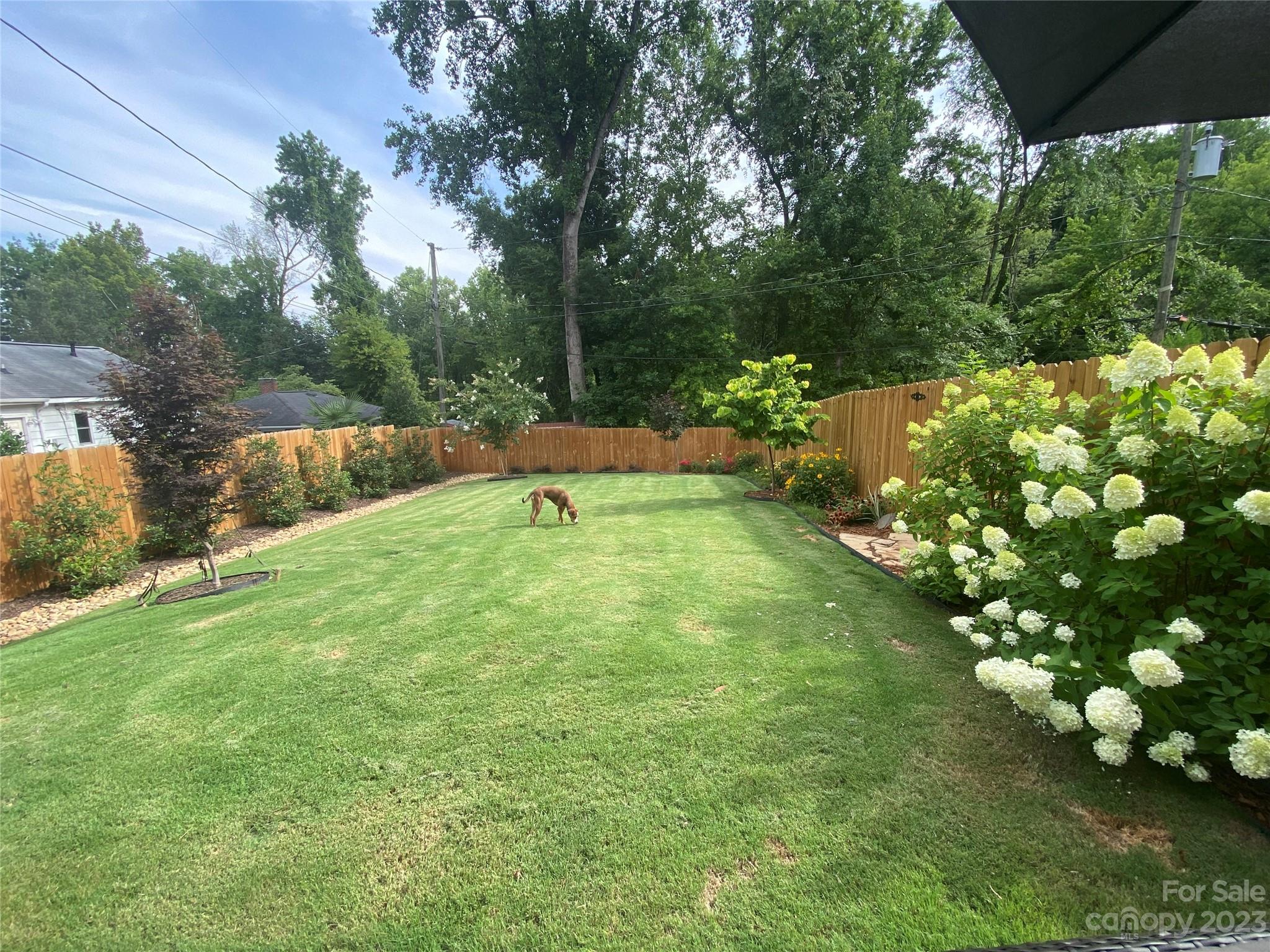 Selwyn Park - Residential