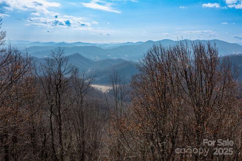 TBD Halfmoon Ridge Leicester NC 28748