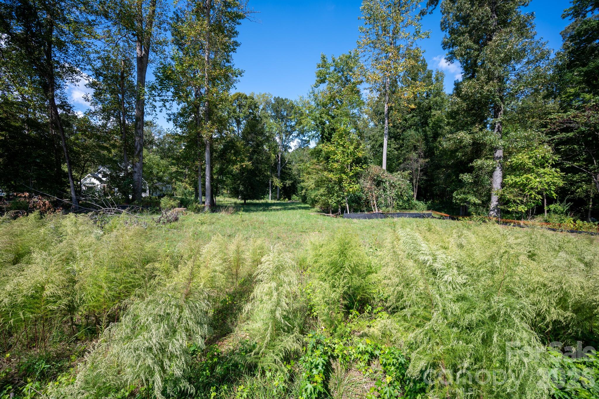 McLean Hunts Point - Land