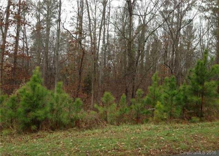 Wooded lot in Carolina Coves. One of the last remaining lots in the neighborhood of homes on 1+ acre lots. Great for custom built home. Country feel but very close to shopping, dining, recreation, Lake Wylie and major roads. Property rear abuts green way.