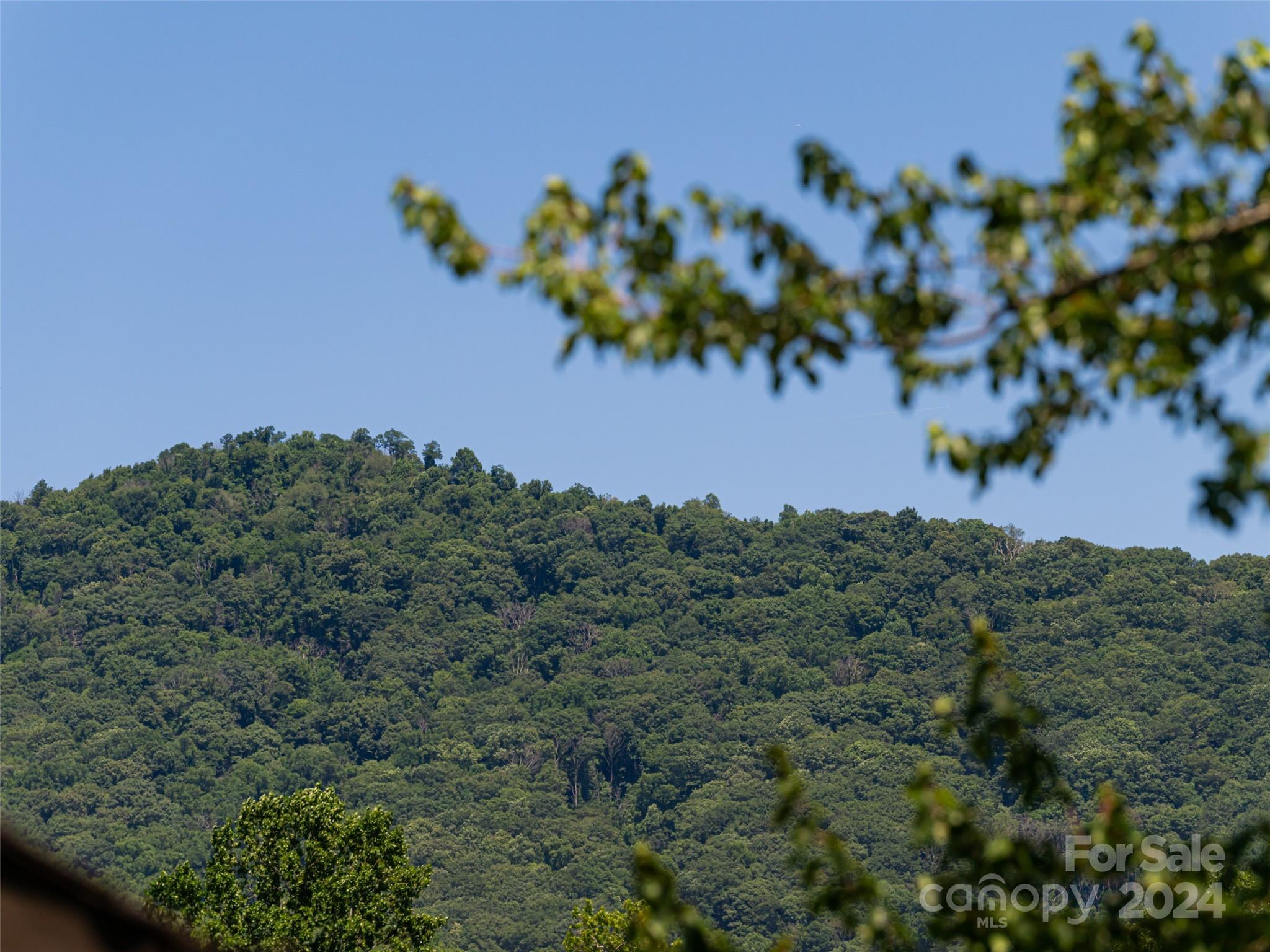 Courtside - Residential