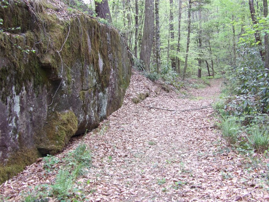 Beautiful 89+ wooded acres containing 2 bold creeks and a sizeable pond. There are many areas to consider for building your home. Great place for nature lovers. Peaceful and private area to enjoy nature with deer, wild turkey and other wildlife that come to relax in the woods and drink from the creeks and pond. Located approx. 8.5 miles from shopping and restaurants in downtown Lenoir. 20’ ROW on Laws Farm Road or 60’ ROW from Barlowe Pl Rd