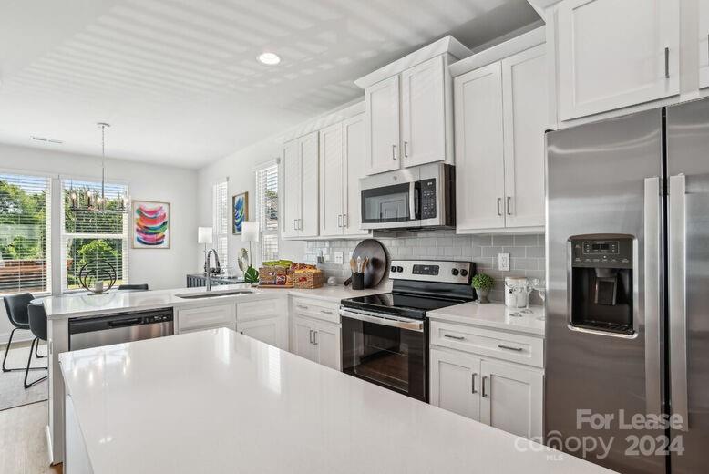 204 Monarch Creek Lane N Davidson