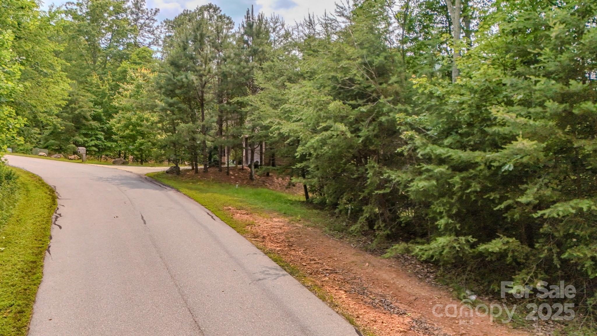 31 Balsamwood Road