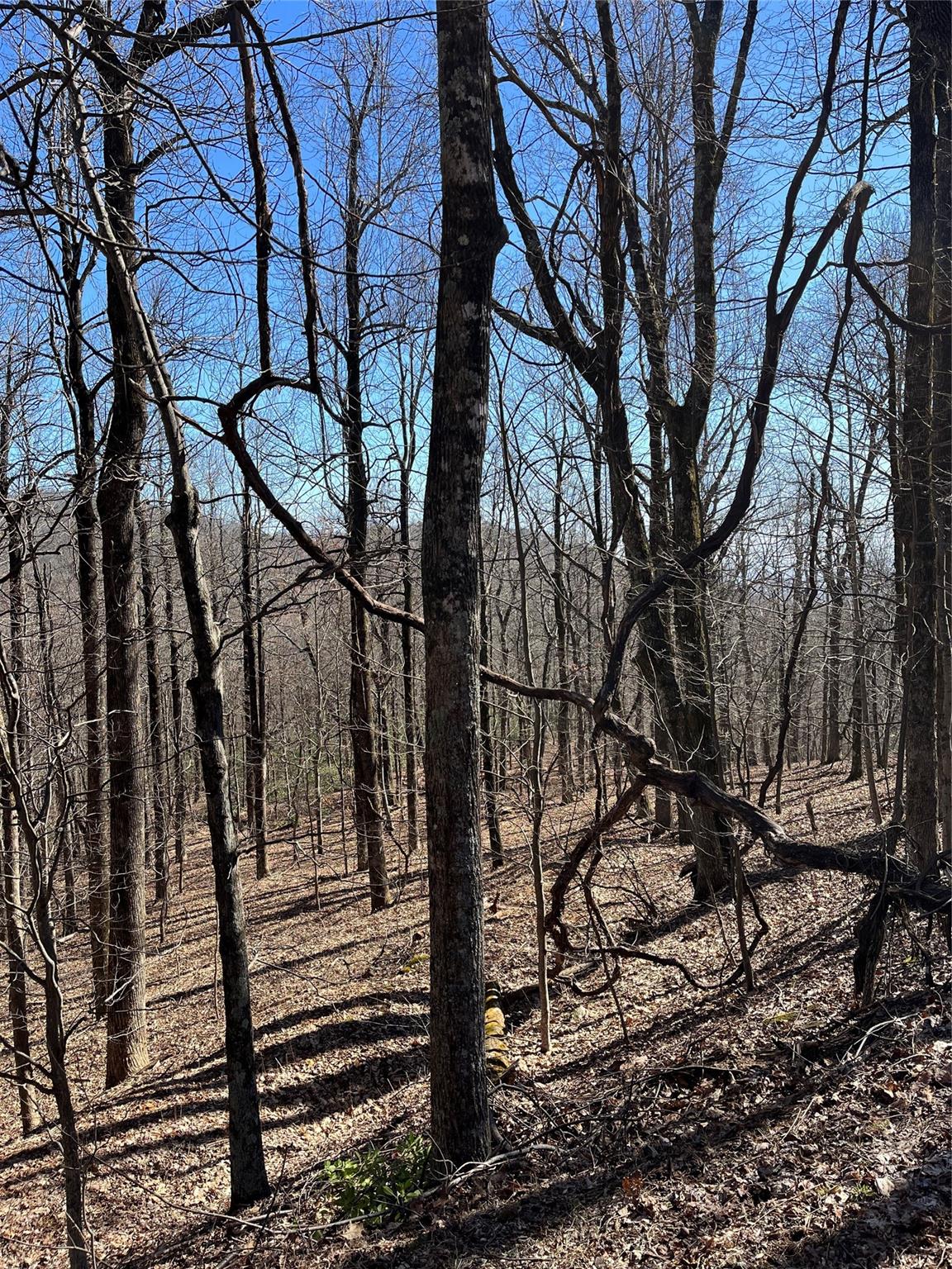 0 Sunset Ridge Road 12