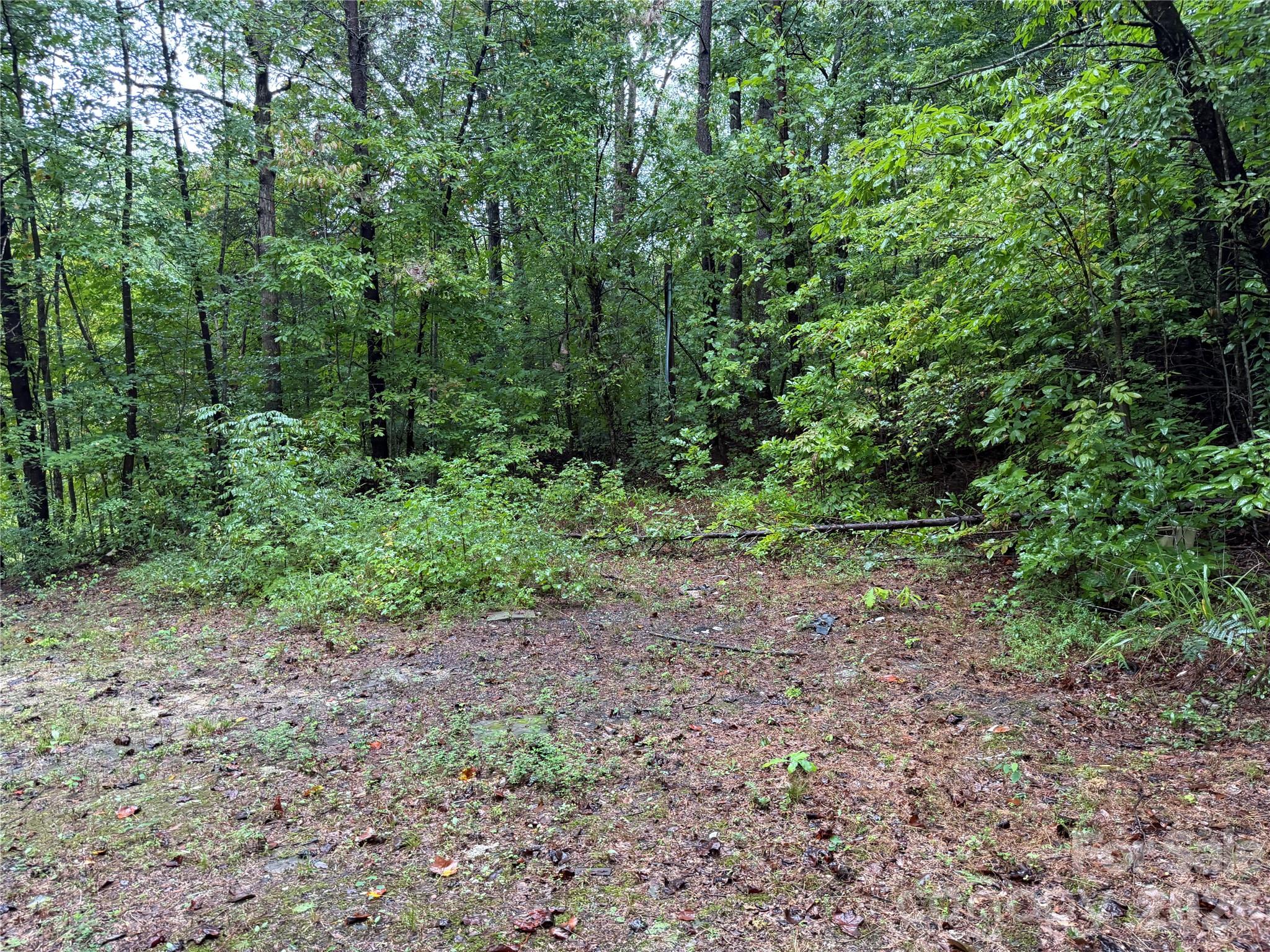 3865 Hickory Highway