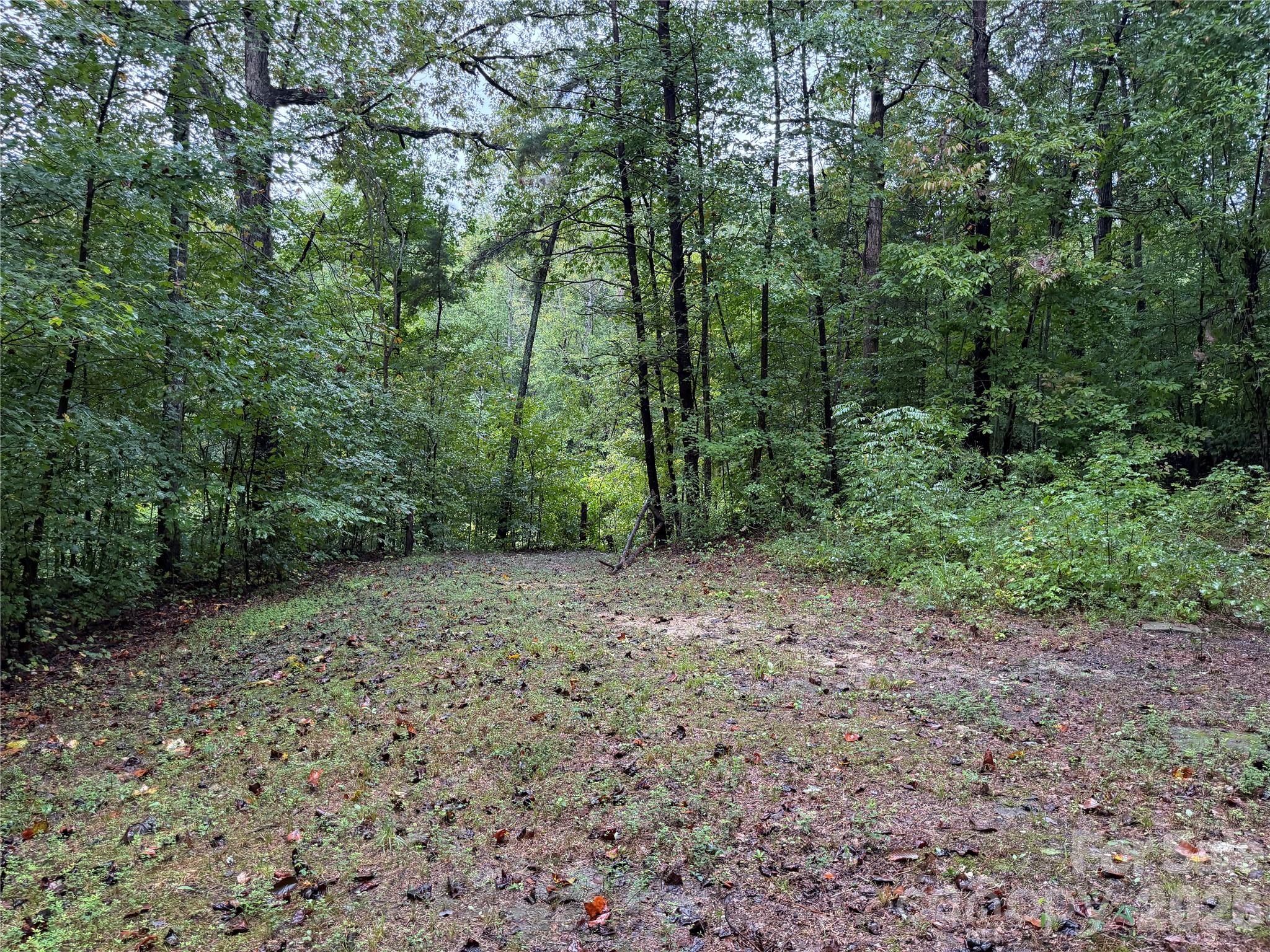 3865 Hickory Highway