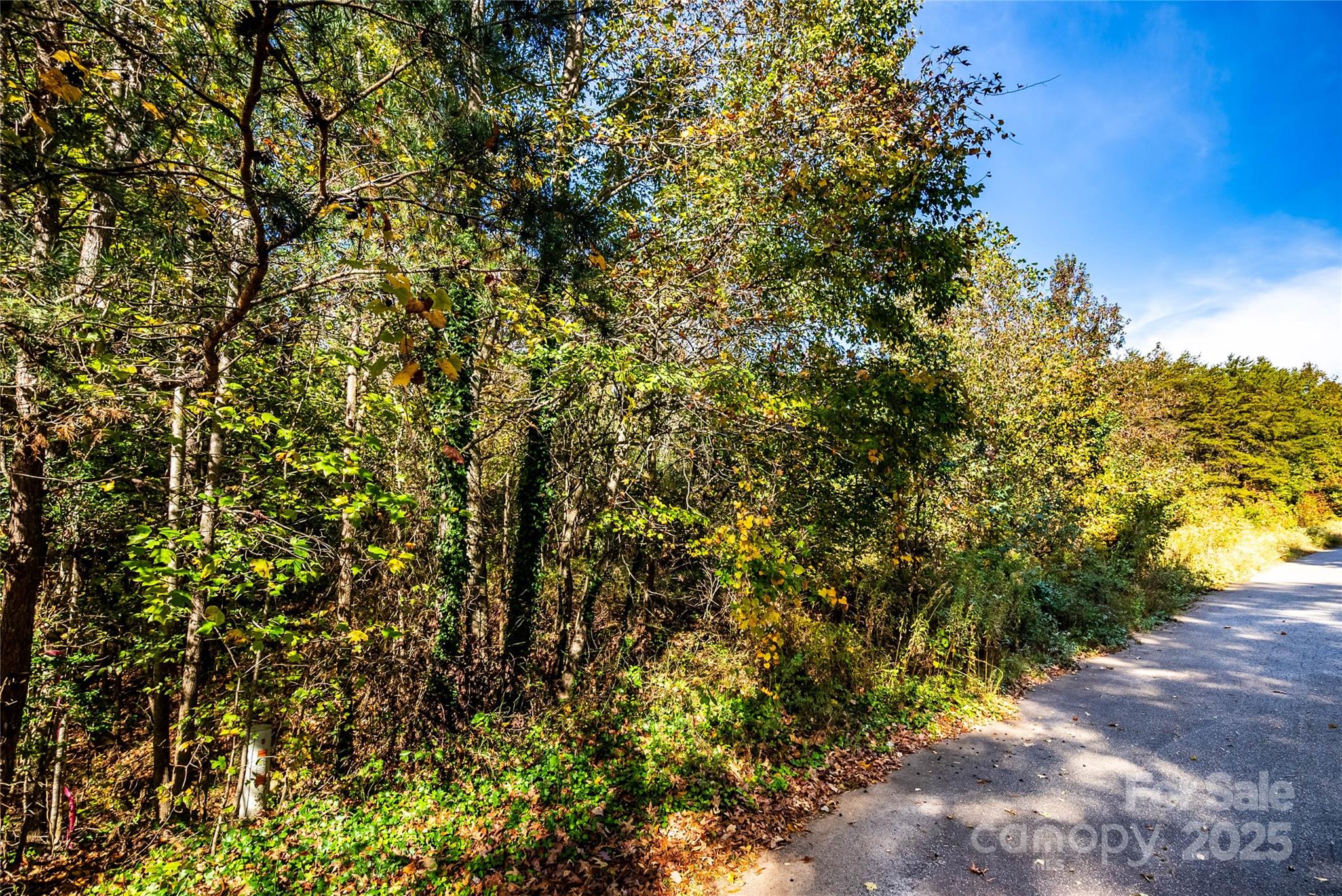 65 Seminole Drive 65