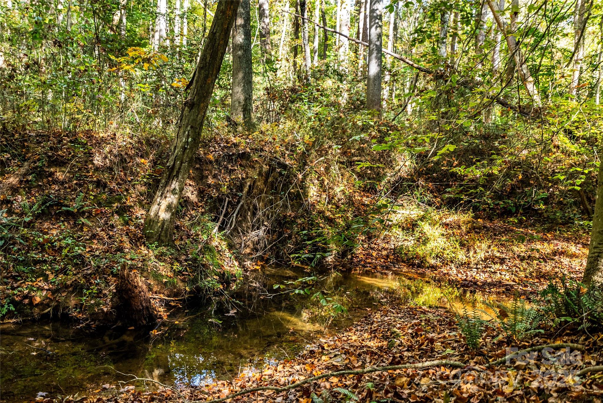 65 Seminole Drive 65