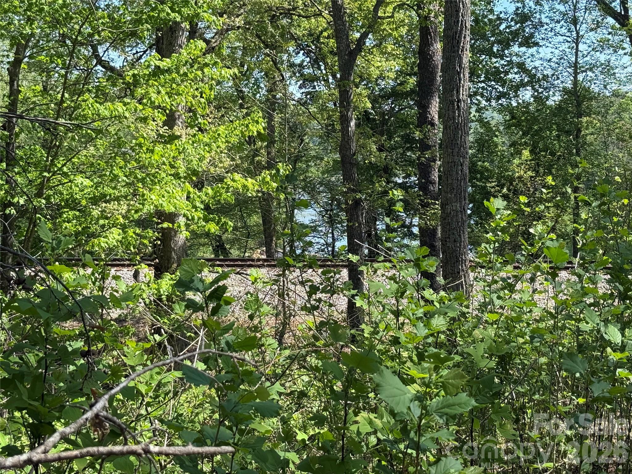 266 Mountain Creek Way