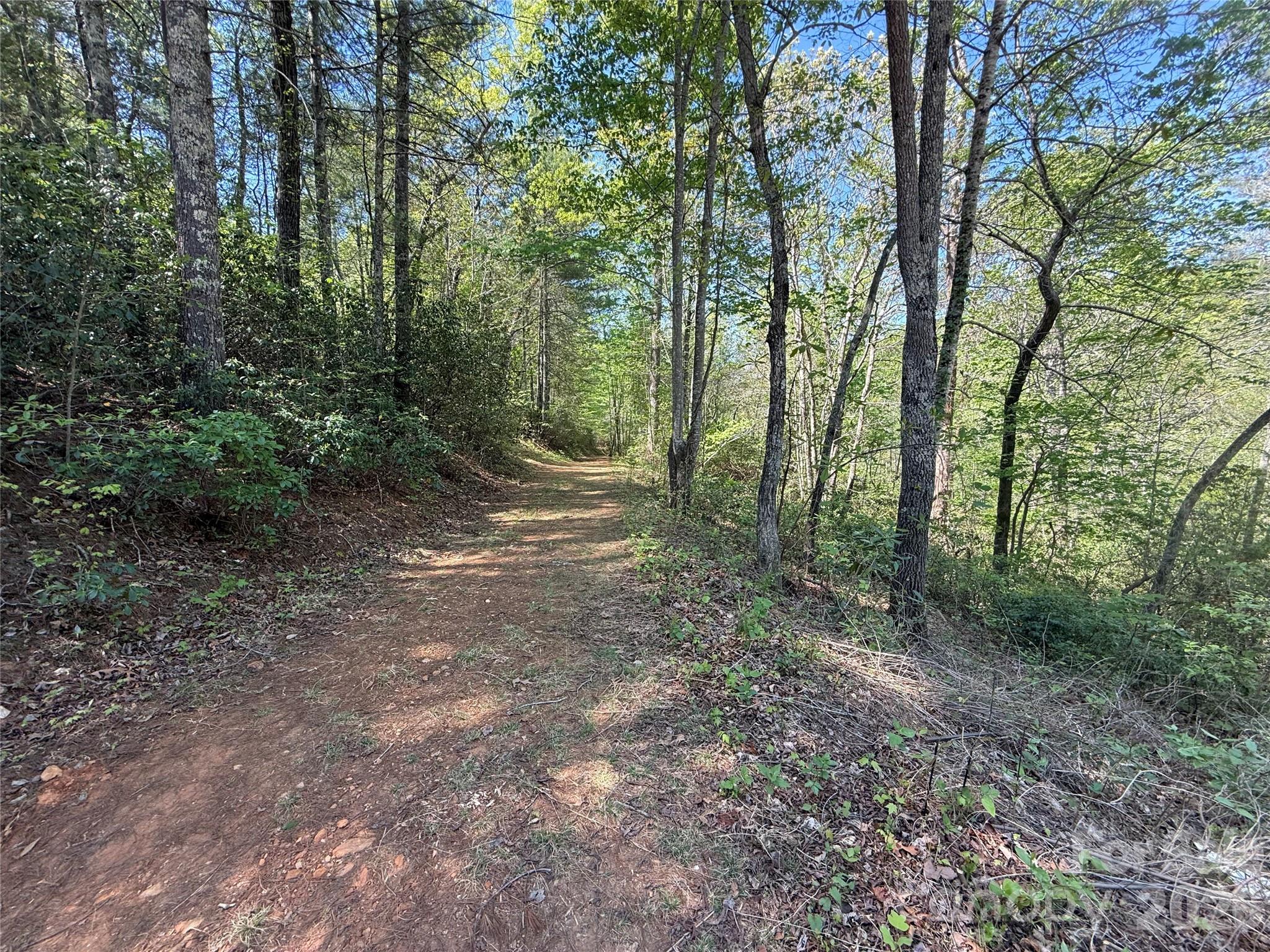 266 Mountain Creek Way