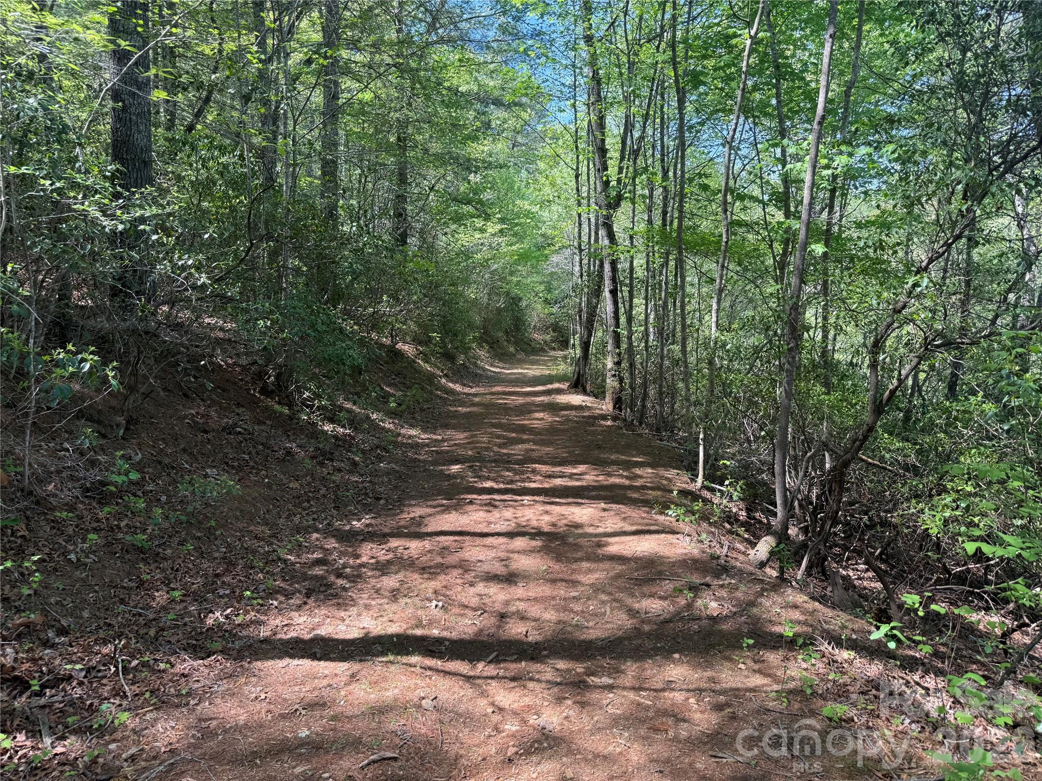 266 Mountain Creek Way