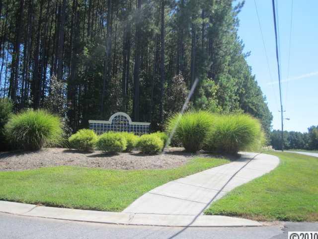 Palm Tree Cove - Land