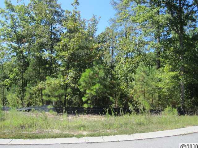 Palm Tree Cove - Land