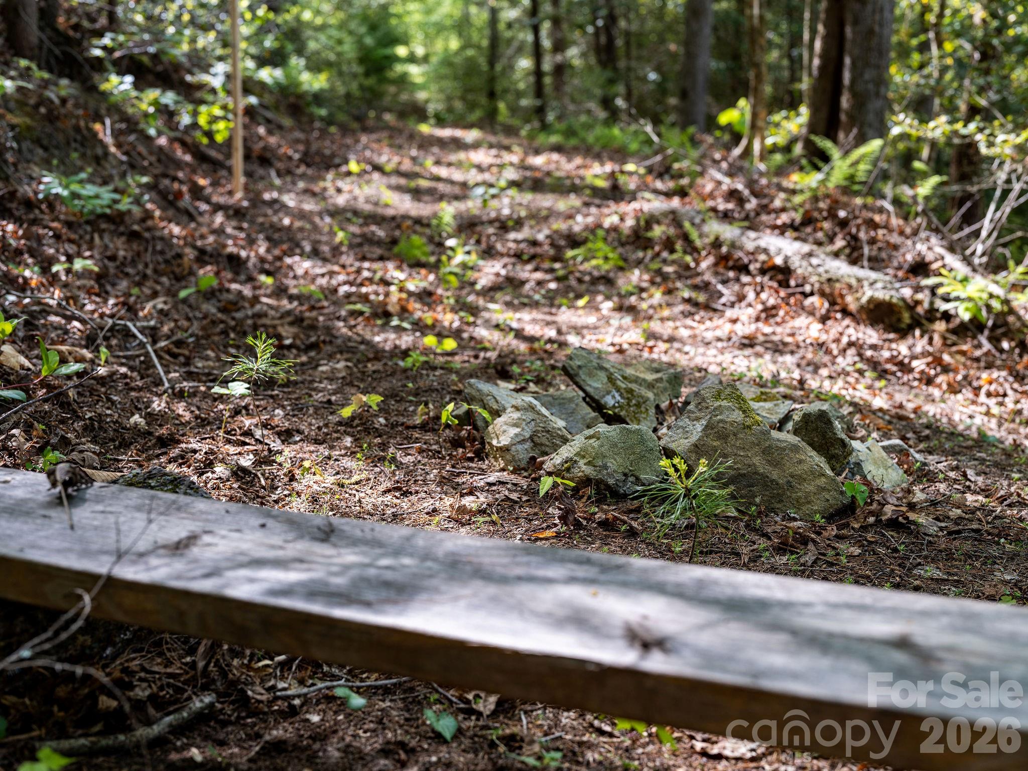 Laurel River Crossing - Land