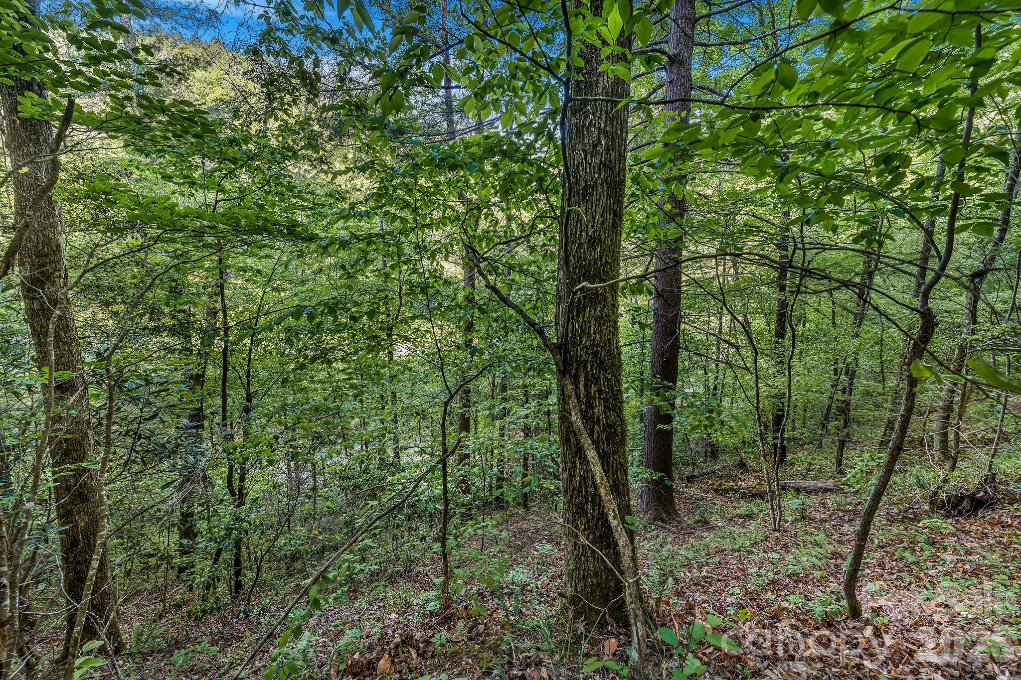 Laurel River Crossing - Land