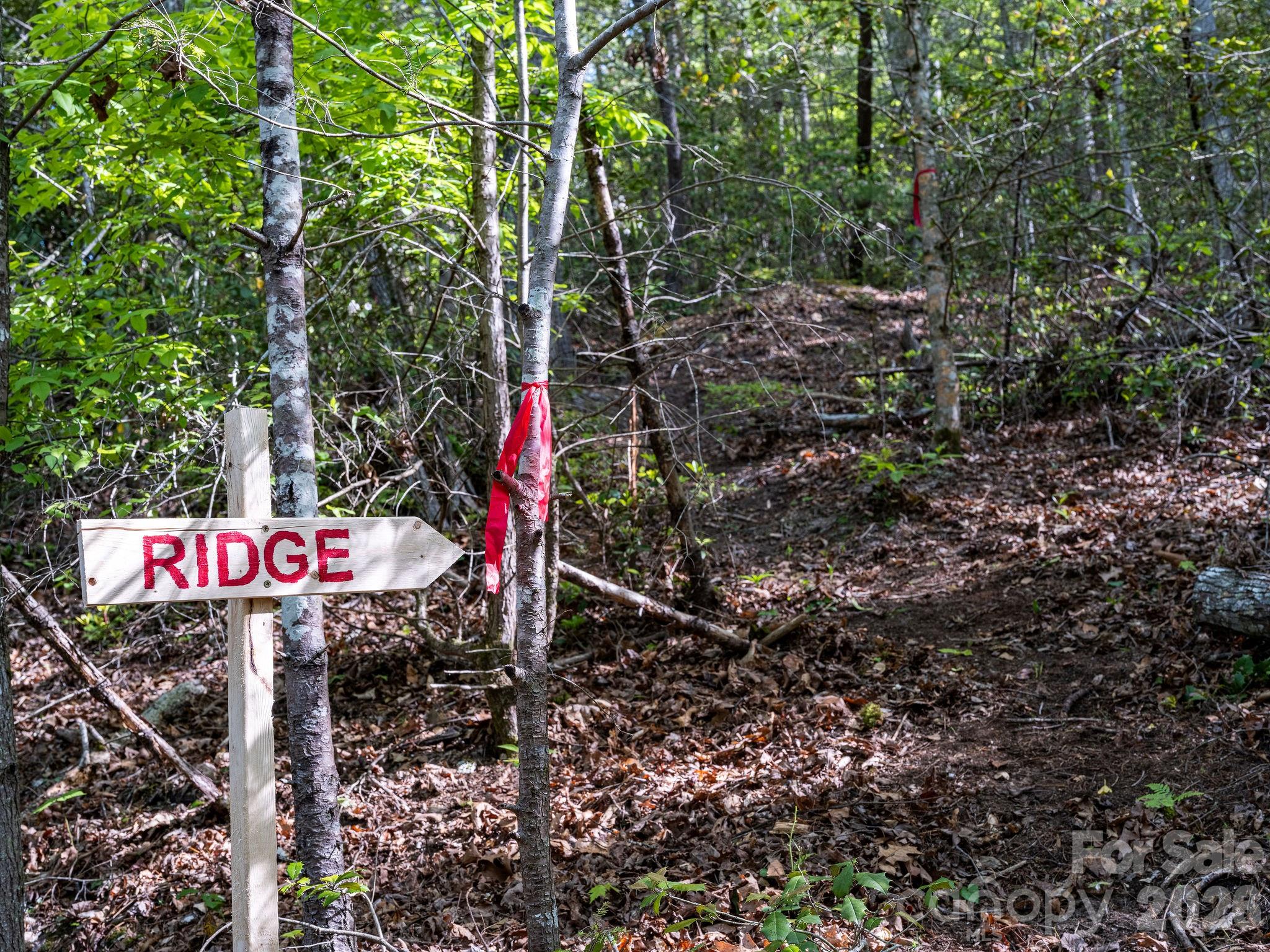 Laurel River Crossing - Land