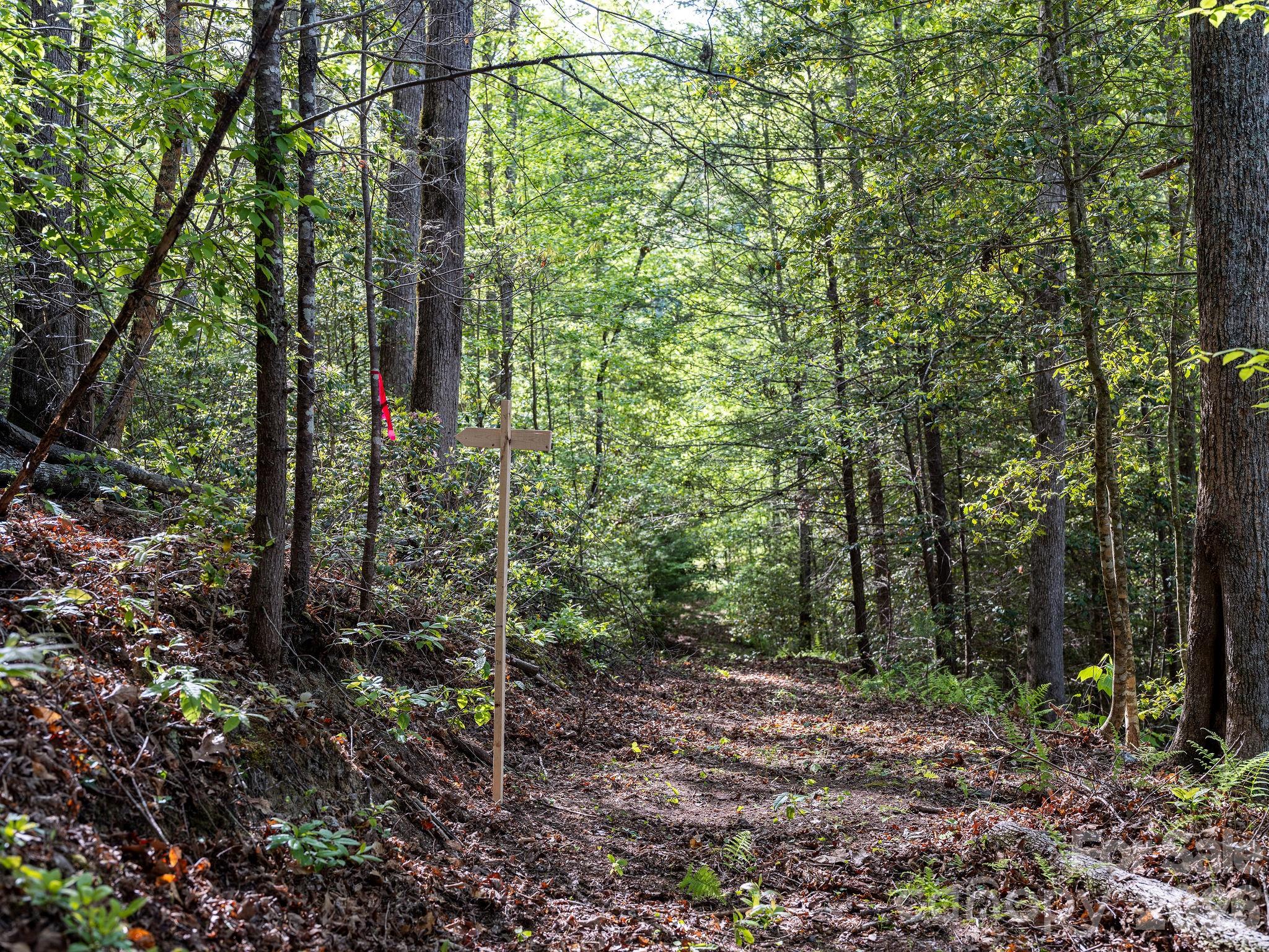 Laurel River Crossing - Land