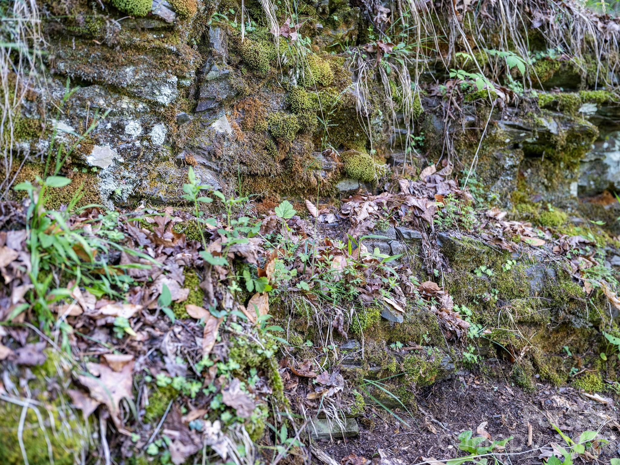 Laurel River Crossing - Land