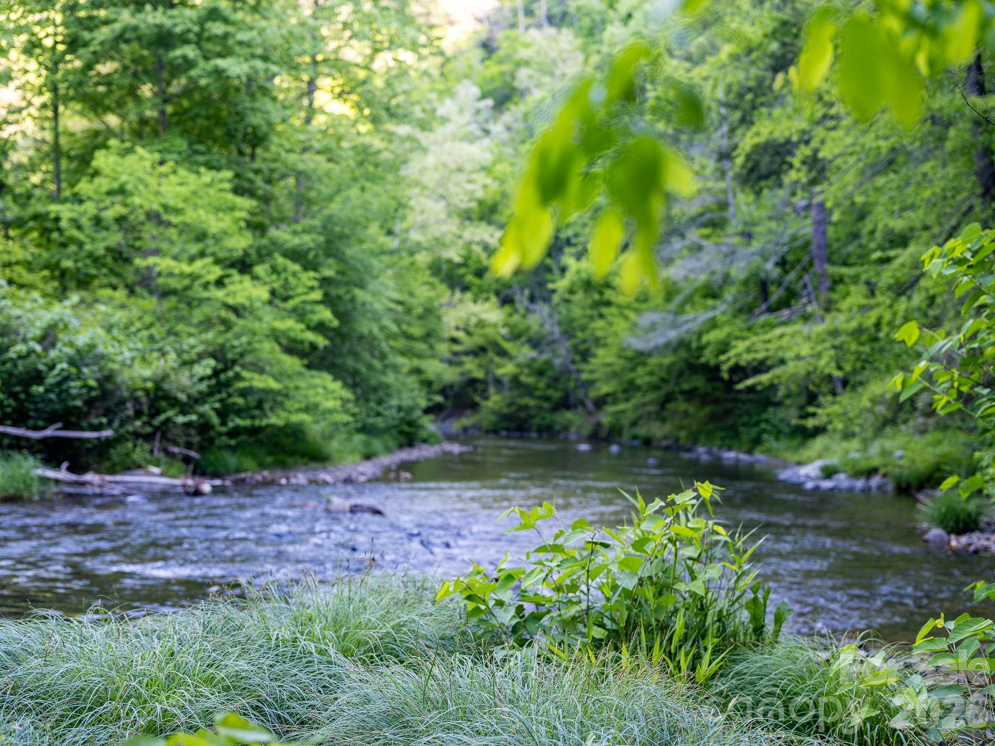 Laurel River Crossing - Land