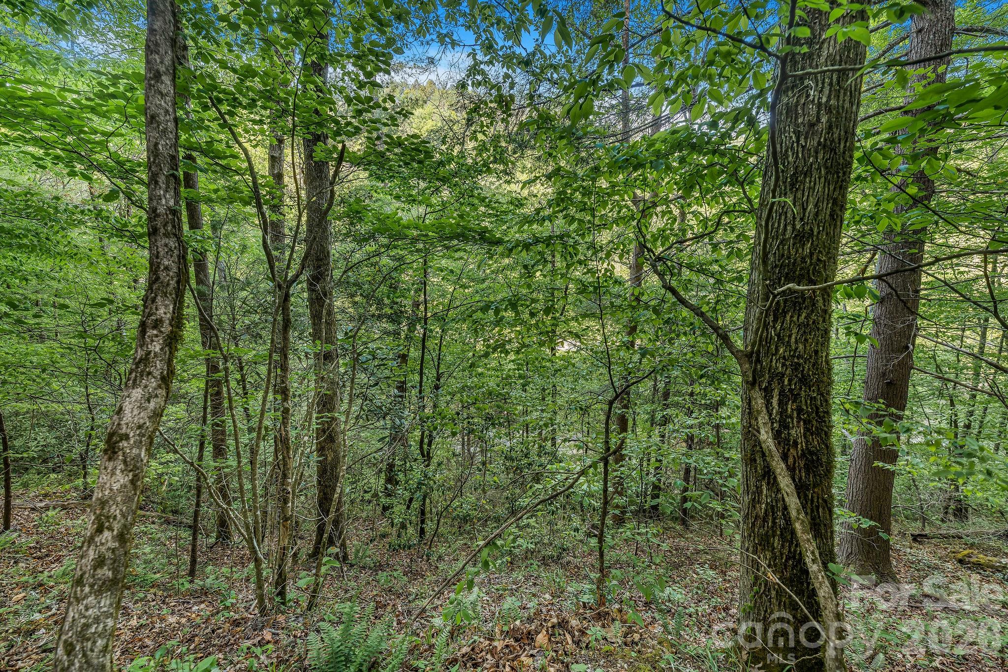 Laurel River Crossing - Land