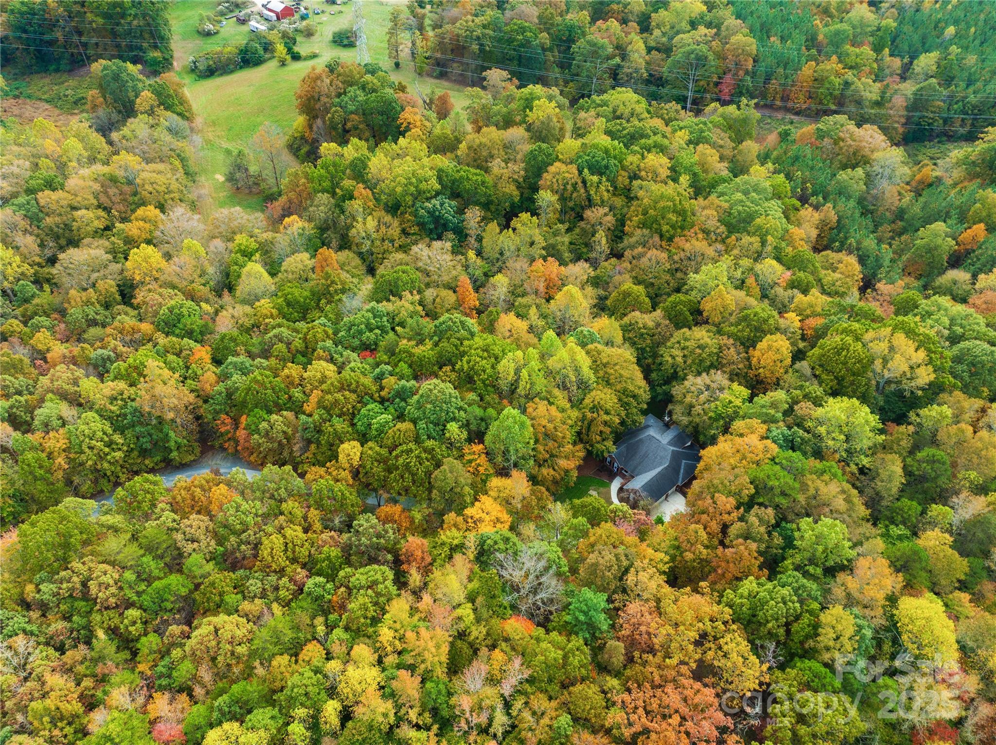 11113 Asbury Chapel Road