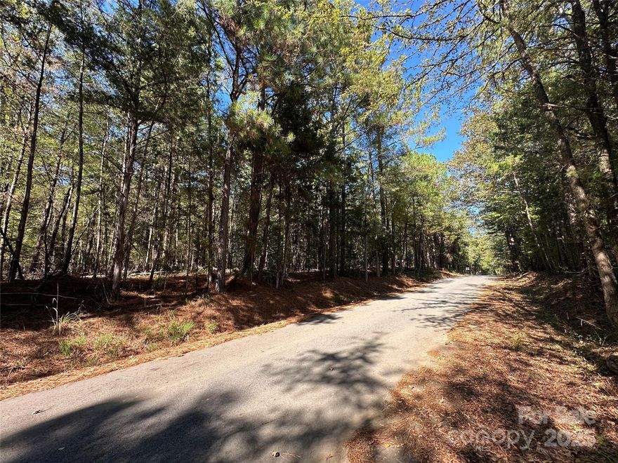 Excellent opportunity to build your dream home on this spacious (+/-)0.522-acre lot. Enjoy the open space and peaceful setting, perfect for those seeking a bit of privacy and room to grow. Bring your builder and your vision — this lot is ready for your next chapter!